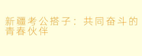 新疆考公搭子:共同奋斗的青春伙伴