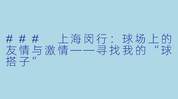 ### 上海闵行：球场上的友情与激情——寻找我的“球搭子”