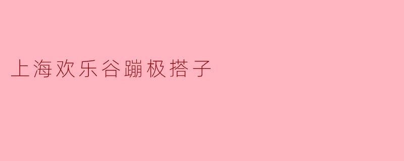 上海欢乐谷蹦极搭子