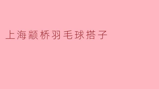 上海颛桥羽毛球搭子