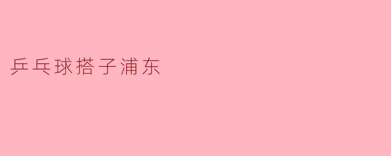 乒乓球搭子浦东