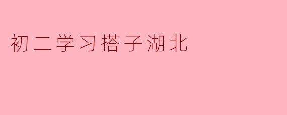 初二学习搭子湖北
