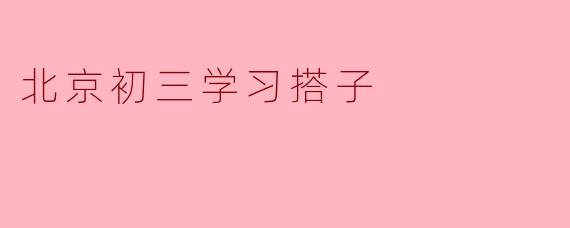 北京初三学习搭子