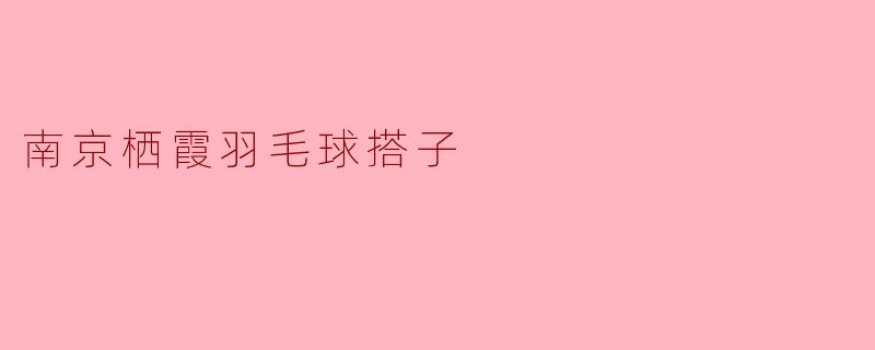 南京栖霞羽毛球搭子