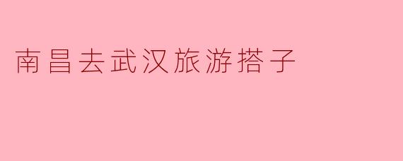 南昌去武汉旅游搭子