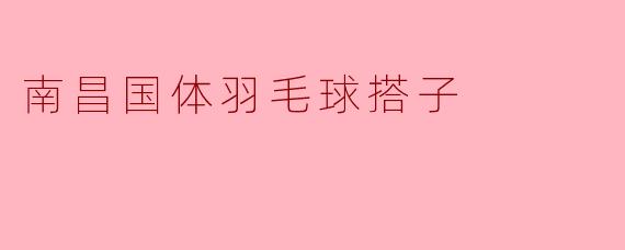 南昌国体羽毛球搭子