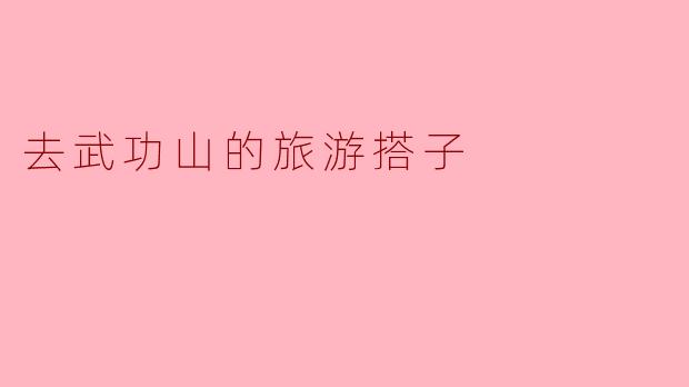 去武功山的旅游搭子