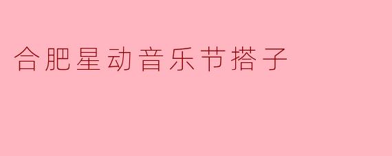 合肥星动音乐节搭子