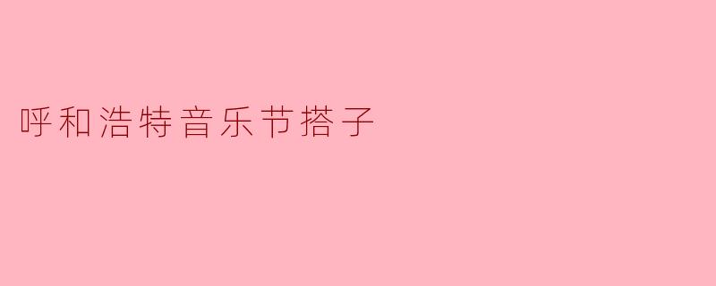 呼和浩特音乐节:搭子与音乐的完美结合