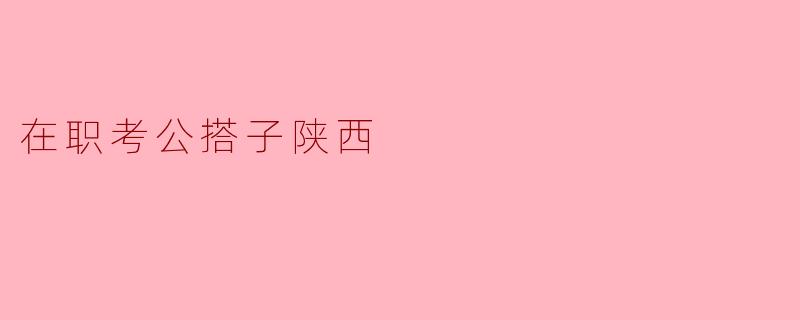 在职考公搭子陕西