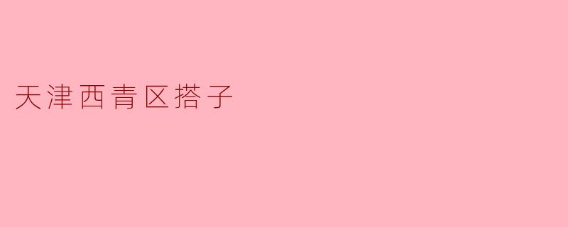 天津西青区搭子