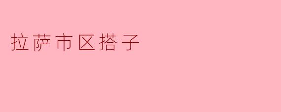 拉萨市区搭子