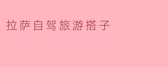 拉萨自驾旅游搭子
