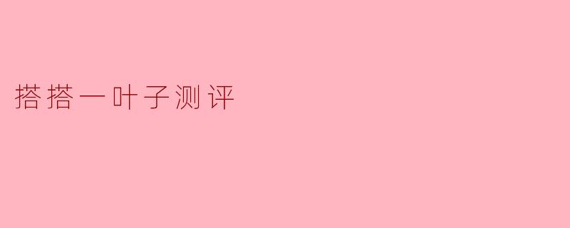 搭搭一叶子测评