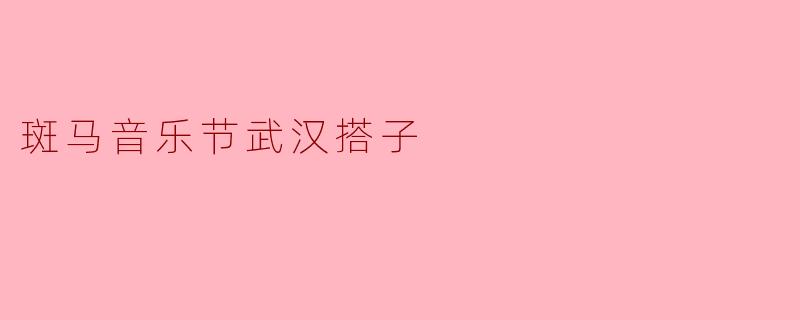 斑马音乐节武汉搭子