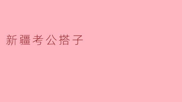 新疆考公搭子