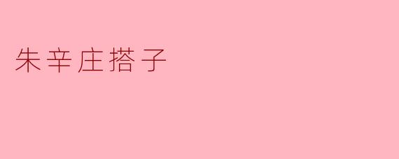 朱辛庄搭子