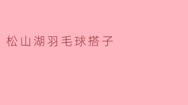 ### 松山湖羽毛球搭子:挥动汗水中的友谊