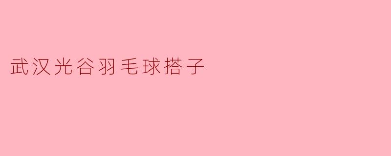### 探访武汉光谷羽毛球搭子:激情挥拍,结下友谊的网络