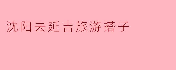 从沈阳去延吉旅游，有没有推荐的搭子或者一起玩的朋友？