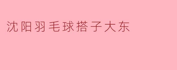 沈阳羽毛球搭子大东有哪些特别之处？****