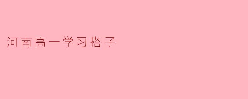 河南高一学习搭子