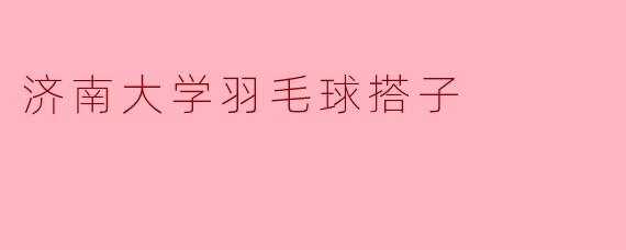 济南大学羽毛球搭子