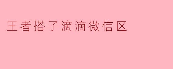 王者搭子滴滴微信区