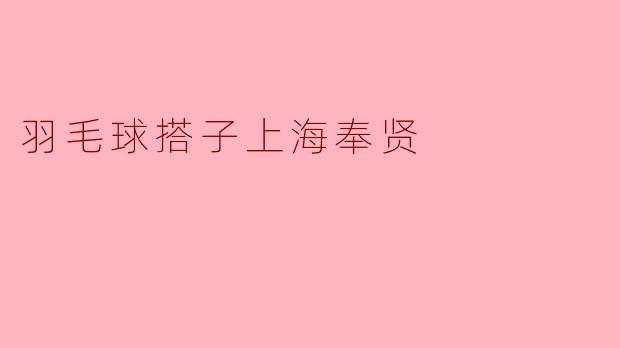 羽毛球搭子上海奉贤