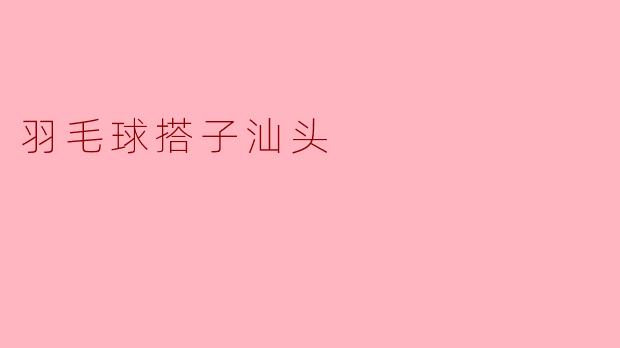 羽毛球搭子汕头