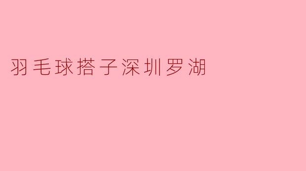 羽毛球搭子深圳罗湖