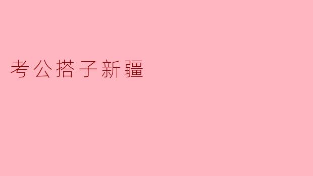 考公搭子新疆