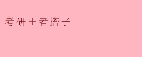 ### 考研王者搭子：冲刺梦想的最佳伙伴