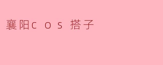 襄阳cos搭子