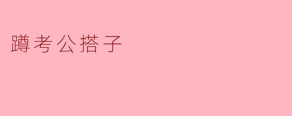 蹲考公搭子