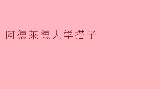 阿德莱德大学的“搭子”是什么意思?