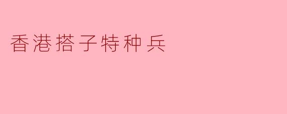 香港搭子特种兵:城市里的守护者