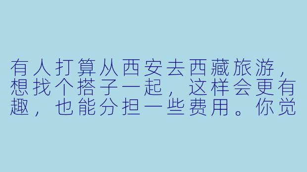 有人打算从西安去西藏旅游，想找个搭子一起，这样会更有趣，也能分担一些费用。你觉得合适吗？****