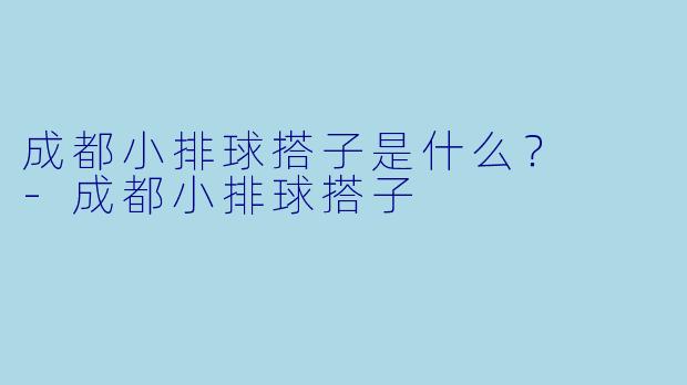 成都小排球搭子是什么？  