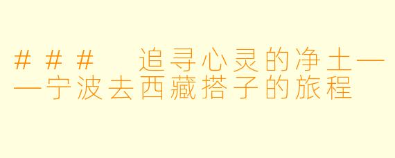 ### 追寻心灵的净土——宁波去西藏搭子的旅程