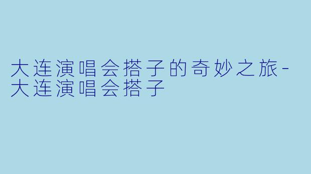 大连演唱会搭子的奇妙之旅-大连演唱会搭子