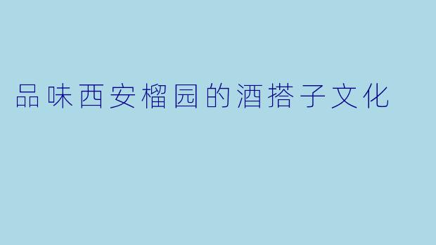 品味西安榴园的酒搭子文化
