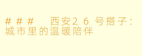 ### 西安26号搭子：城市里的温暖陪伴
