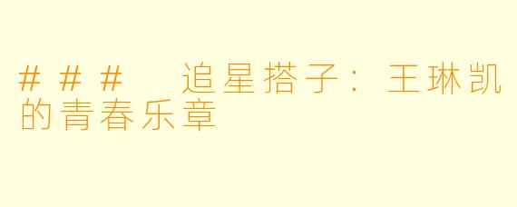 ### 追星搭子：王琳凯的青春乐章