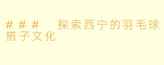 ### 探索西宁的羽毛球搭子文化