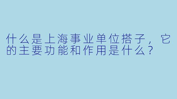 什么是上海事业单位搭子,它的主要功能和作用是什么?