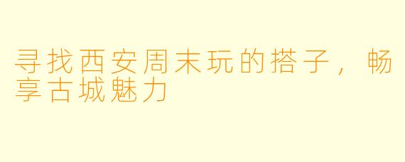 寻找西安周末玩的搭子，畅享古城魅力