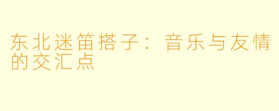 东北迷笛搭子：音乐与友情的交汇点