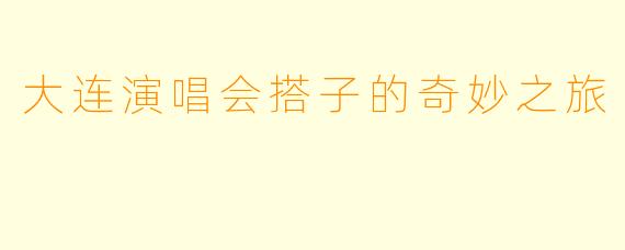 大连演唱会搭子的奇妙之旅