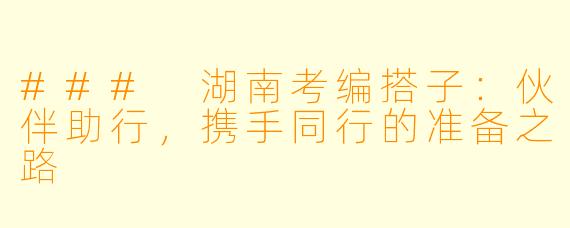 ### 湖南考编搭子：伙伴助行，携手同行的准备之路
